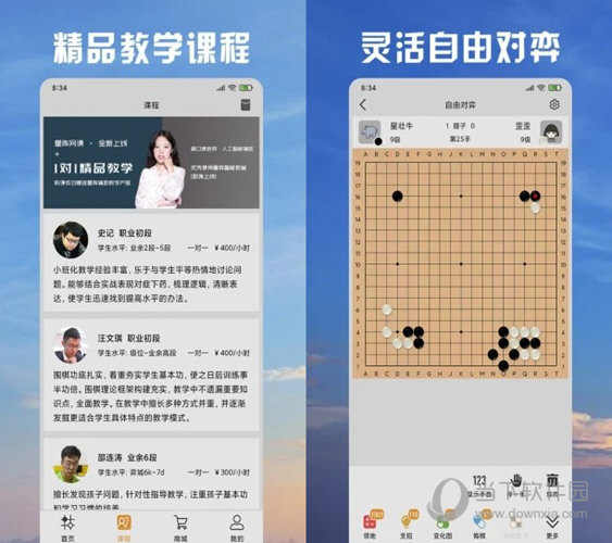 新澳天天开彩免费精准资料,专家解说解释定义_创意版13.833