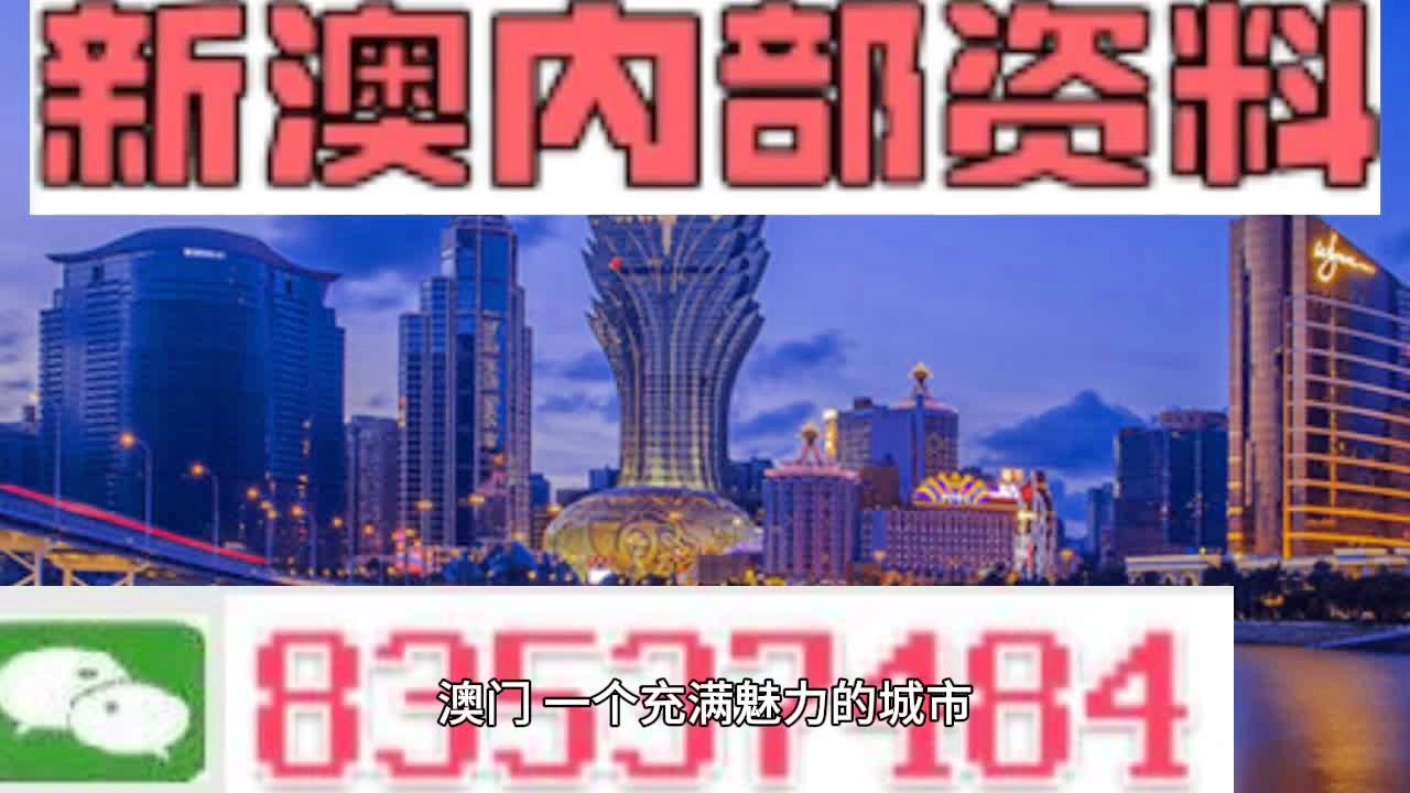 新澳门今天最新免费资料,高度协调实施_商务版65.290