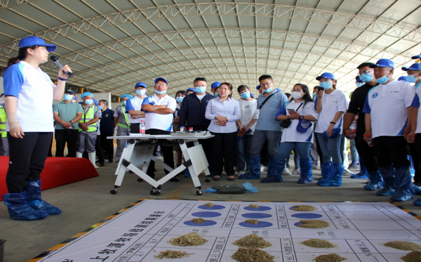 最准一肖一码100%,动态解读分析_DIY版26.254