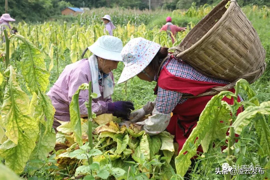 销售电子产品 第357页