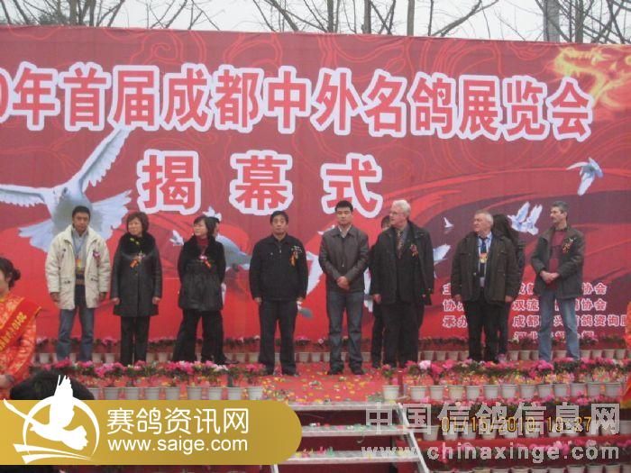 成都市信鸽协会比赛直播