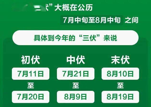 久久热最新网站